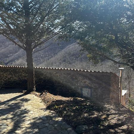 Mas Caraus Apartment Montferrer Exterior photo